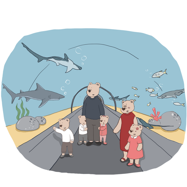 Lessons with Dad: Sharks – Cashmirino