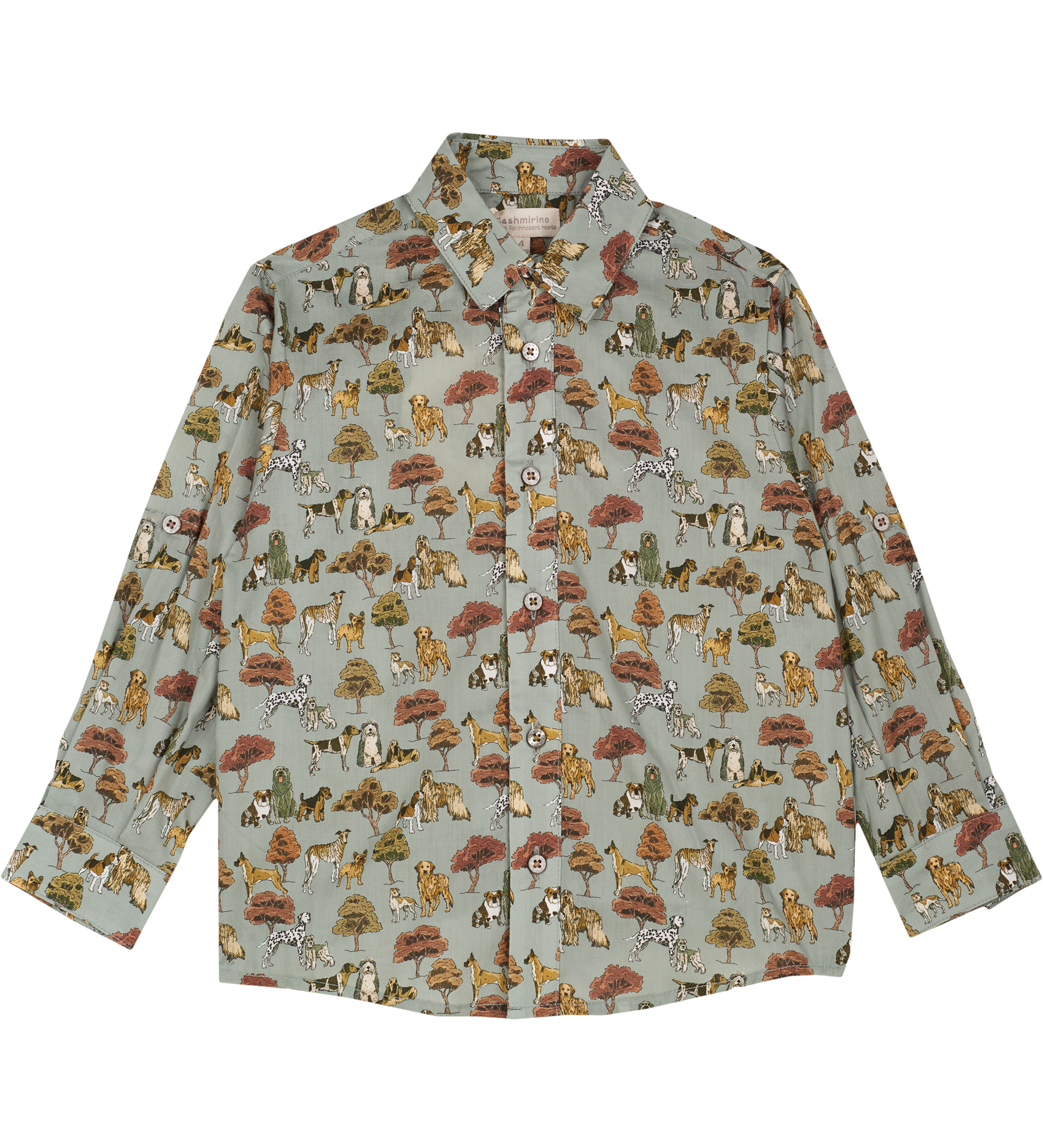 Boy - Davide  Cotton Classic Collar Shirt in Animal Prints
