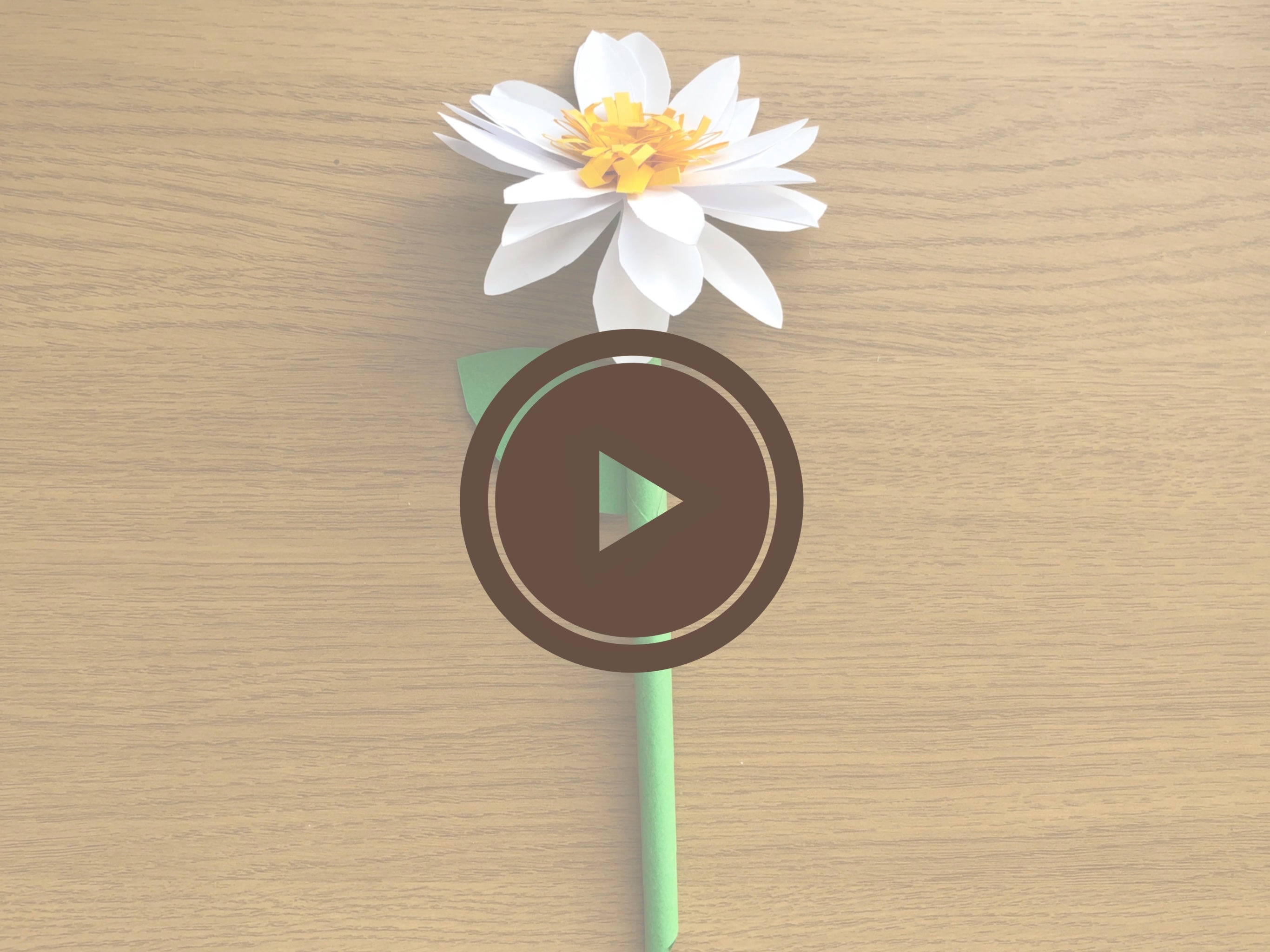 Stay Home #WithMe #WithCashmirino - DIY Paper Daisy