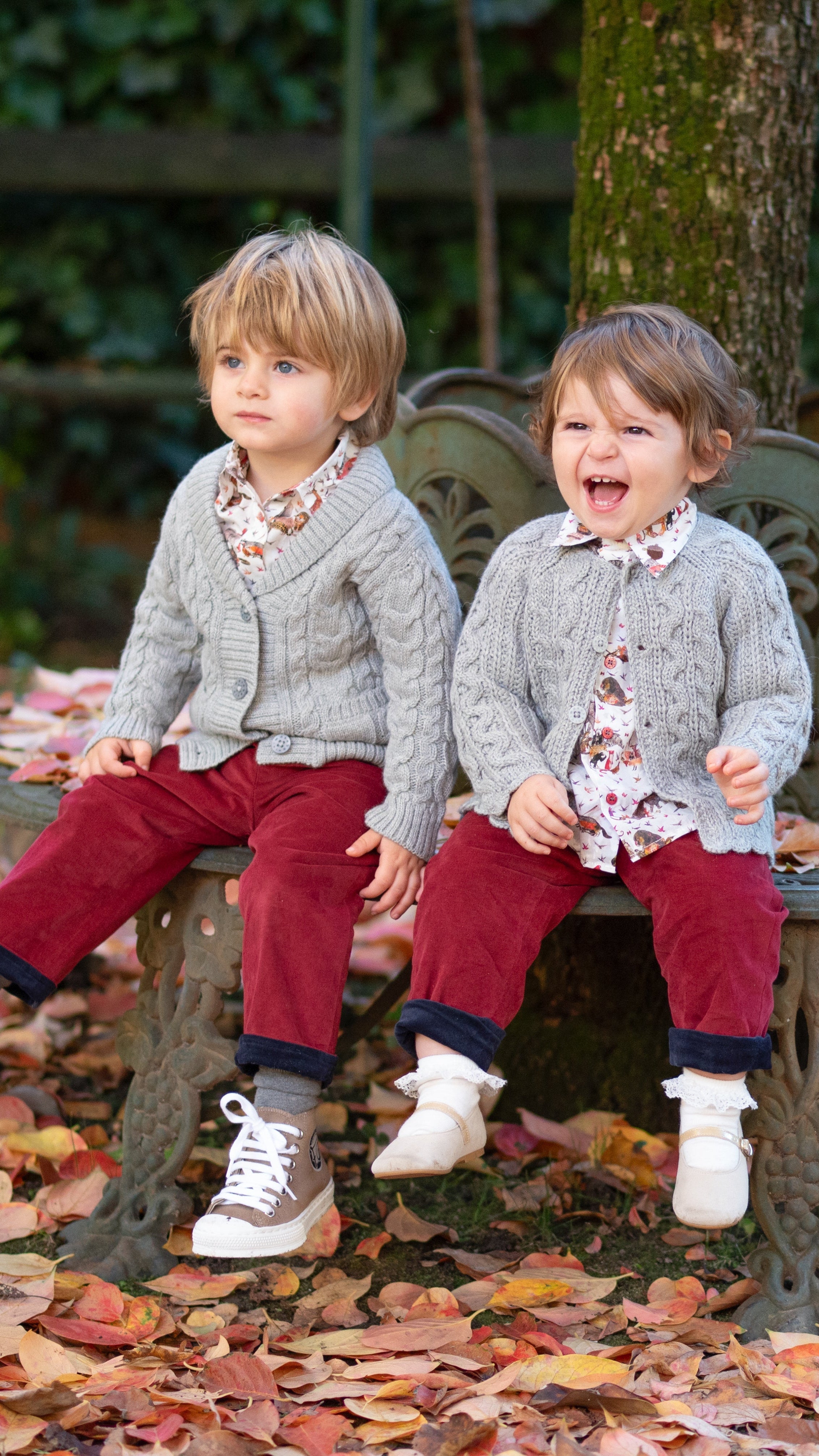 Wrapped in Royal Alpaca & Cashmere