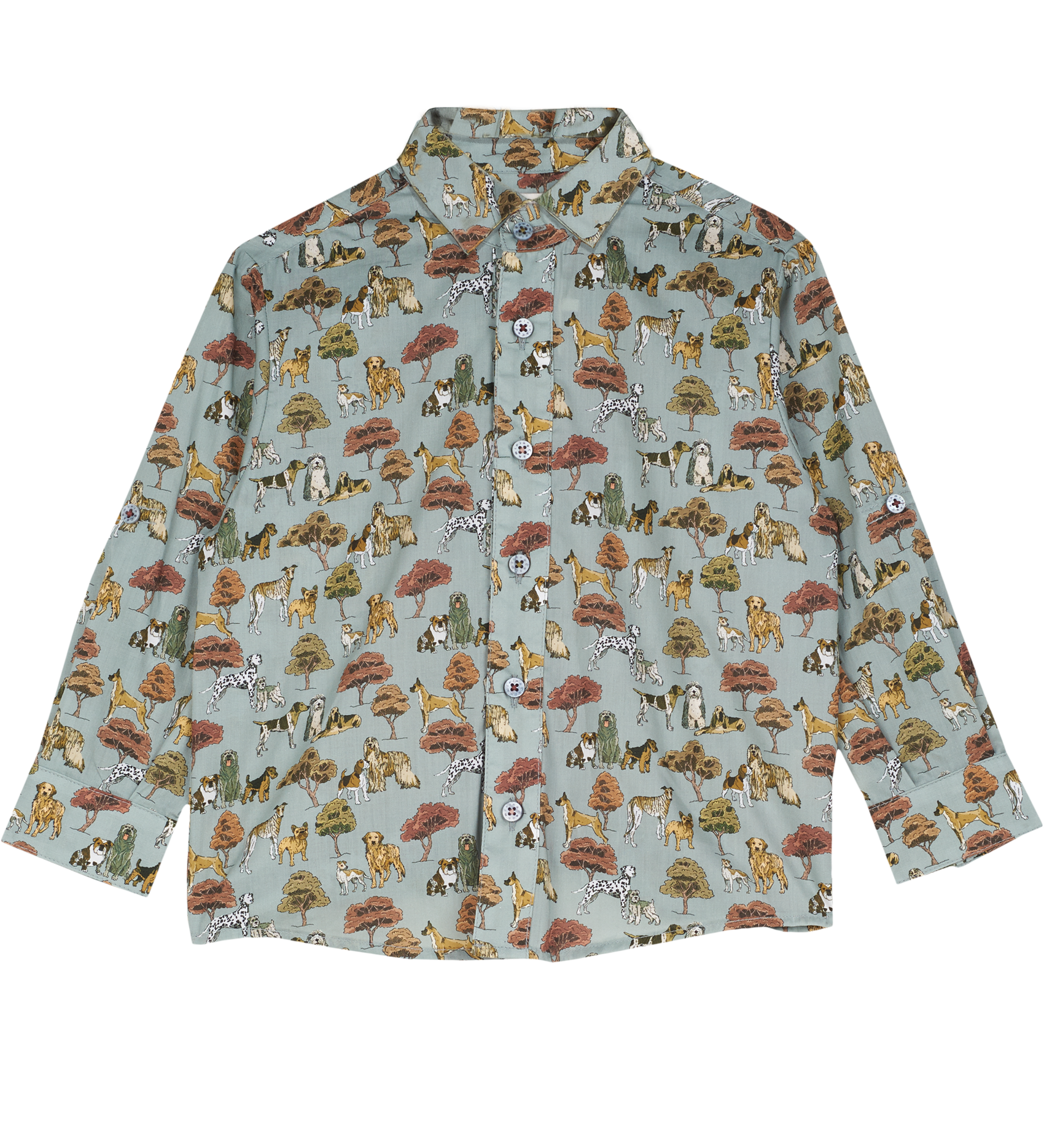 Boy - Davide  Cotton Classic Collar Shirt in Animal Prints