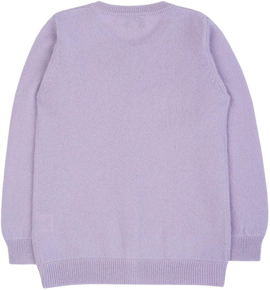 Everyday cashmere online crewneck sweater