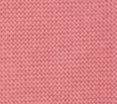 #Coral